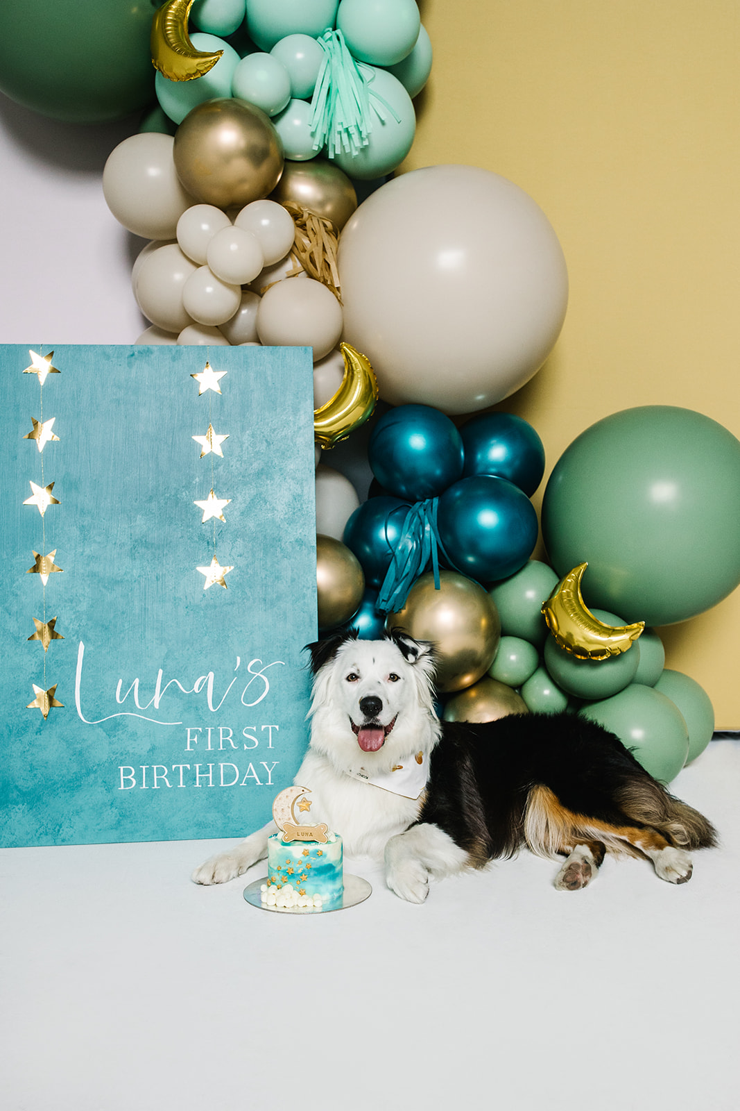 Luna's First Birthday | Dog's First Birthday