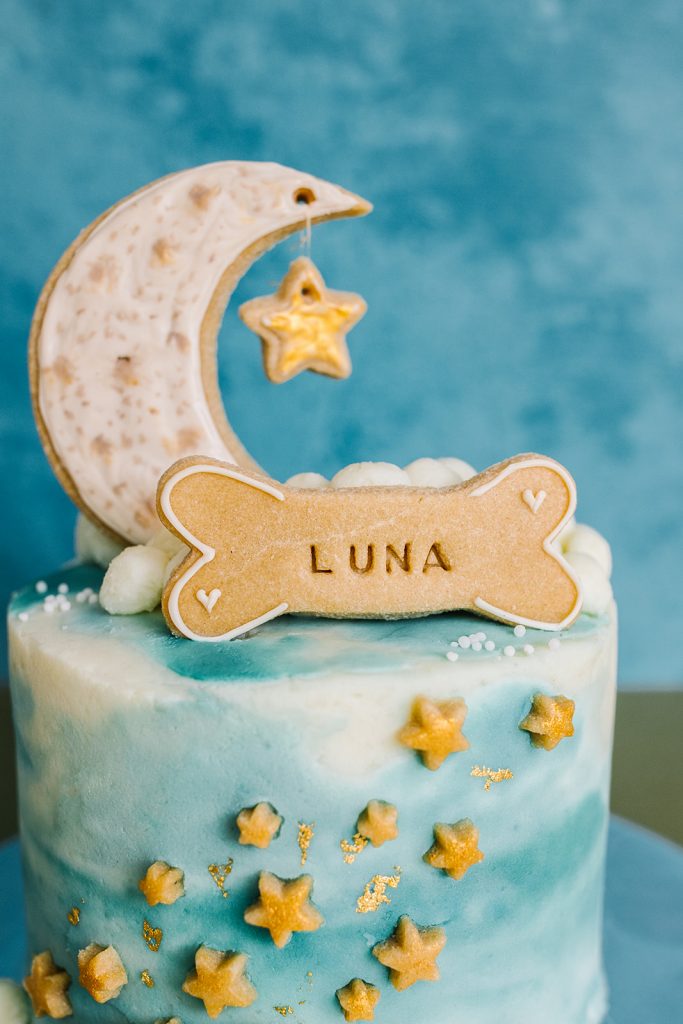 Luna's birthday pawty | Gold Coast Event Stylist The Petal Prop Co.